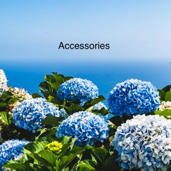 Accessories - Picture 1 of 1